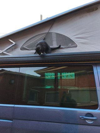 Volkswagen California 2018