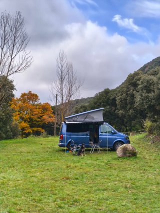 Volkswagen California 2018