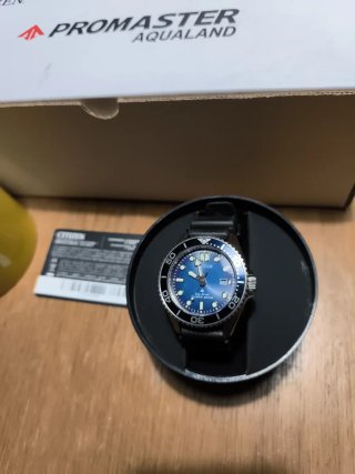 Orologio Citizen Promaster Aqualand