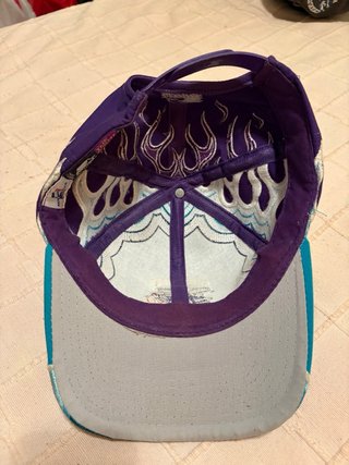 Gorra Vintage Starter Charlotte Hornets NBA 90’s