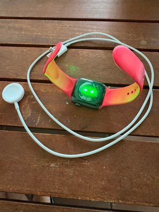 Apple Watch Series 6