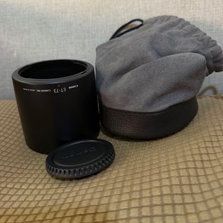 Canon EF 100mm f/2.8L IS USM Macro