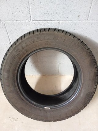 NEMATICO MICHELIN AGILIS 51.