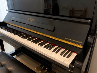 Essex EUP-123E by Steinway | 2018 | Impecable