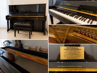 Essex EUP-123E by Steinway | 2018 | Impecable