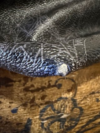Borsa Gattinoni Nera con Dettagli Oro