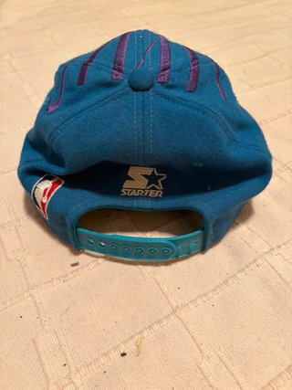 Gorra Vintage Starter Charlotte Hornets NBA Rayos