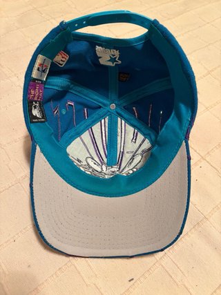 Gorra Vintage Starter Charlotte Hornets NBA Rayos