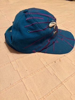 Gorra Vintage Starter Charlotte Hornets NBA Rayos