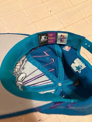 Gorra Vintage Starter Charlotte Hornets NBA Rayos