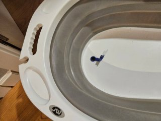 Bañera Plegable Bebé