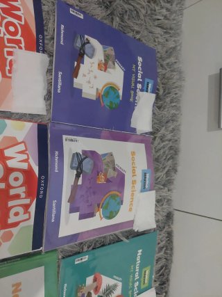 Libros 4º Primaria Social Science y más