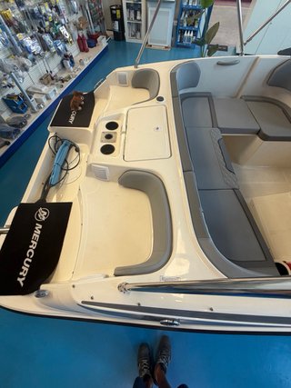 Bayliner M17 (Nueva) mercury 100cv 5 años garantia