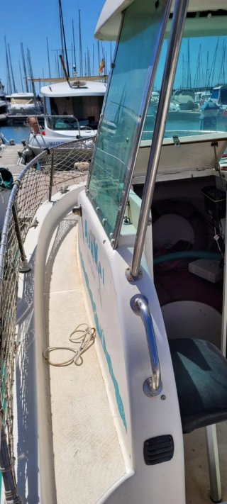 Barco de pesca con motor fueraborda