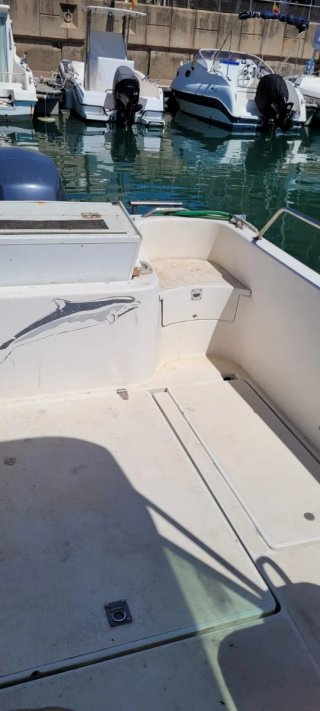 Barco de pesca con motor fueraborda