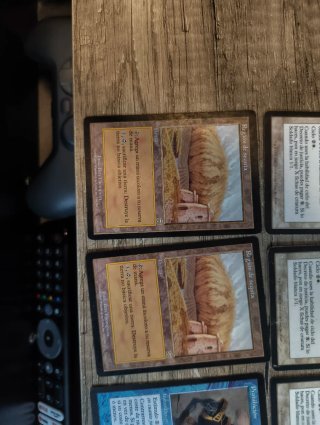 Mazo Landstill Premodern MTG
