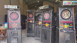 Diana V-Darts Profesional