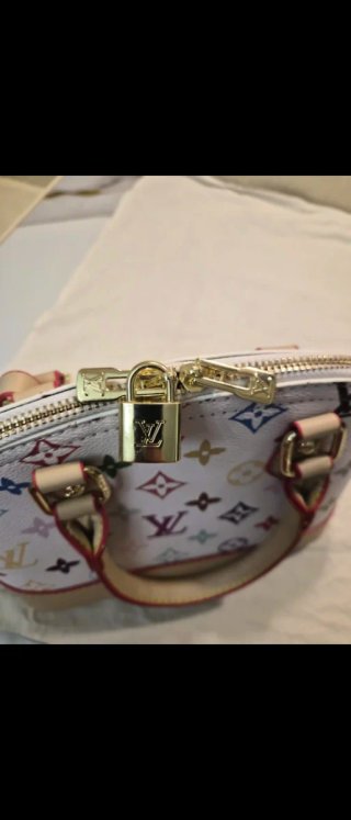 Borsa Louis Vuitton Multicolor