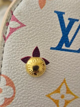 Borsa Louis Vuitton Multicolor