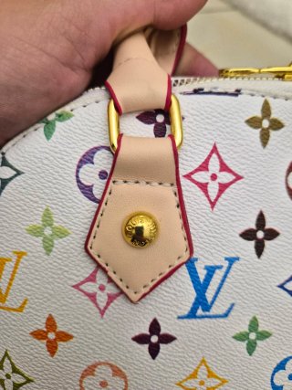 Borsa Louis Vuitton Multicolor