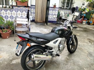 Honda CBF 250 Naked 2006