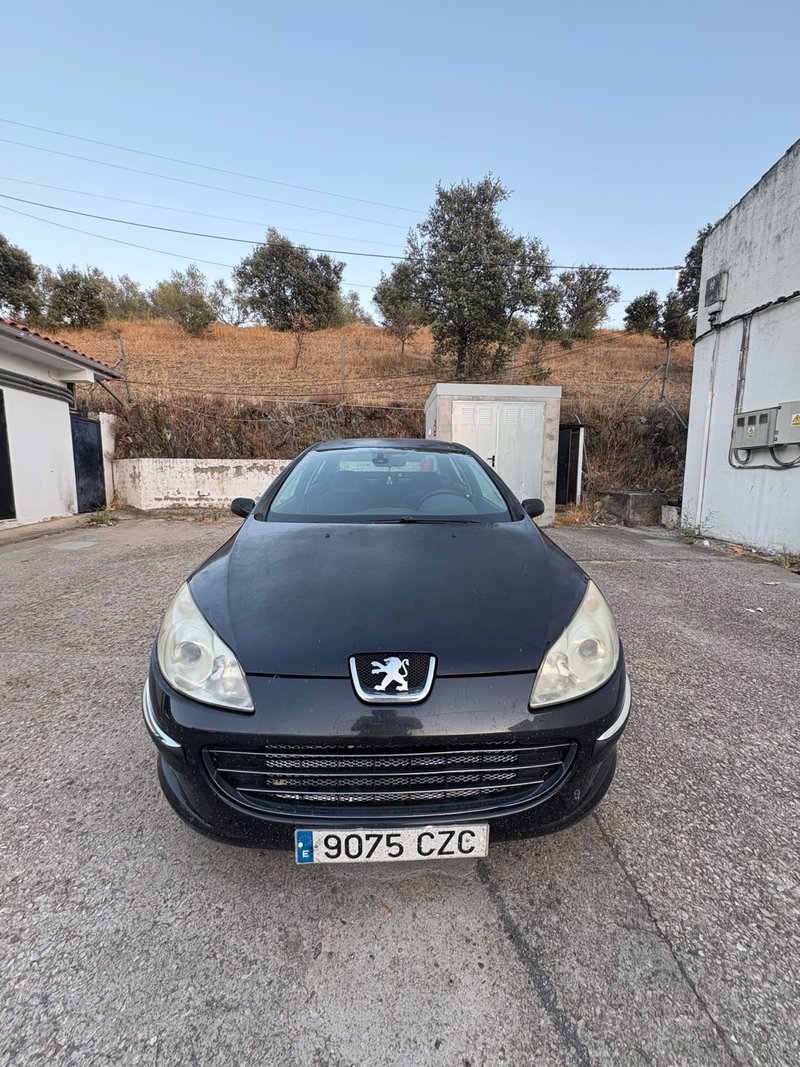 Peugeot 407 2004 - foto 1