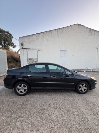 Peugeot 407 2004