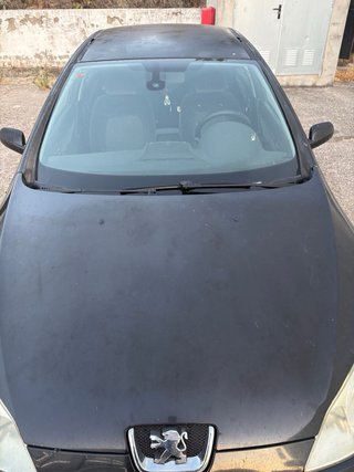 Peugeot 407 2004
