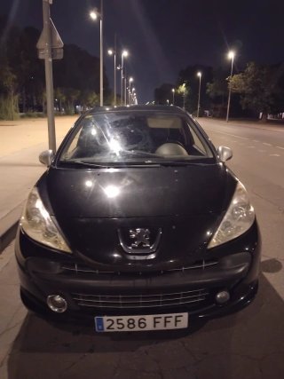 Peugeot 207 2006