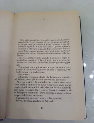 Un bel sogno d'amore - scritto da Andrea Vitali