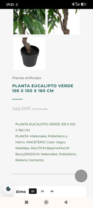 Planta Eucalipto Verde de IXIA a Estrenar Embalada