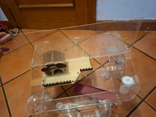 Jaula para hámster transparente