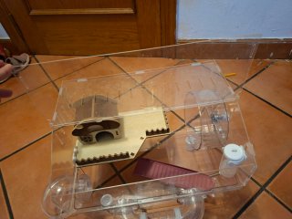 Jaula para hámster transparente
