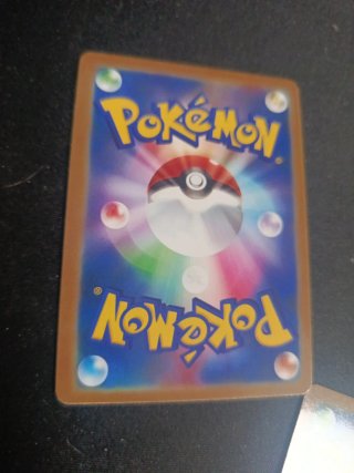 Charmander y sus evoluciones