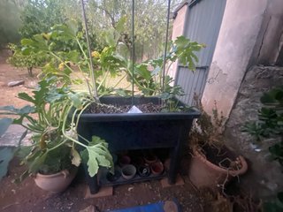 Huerto urbano elevado con patas