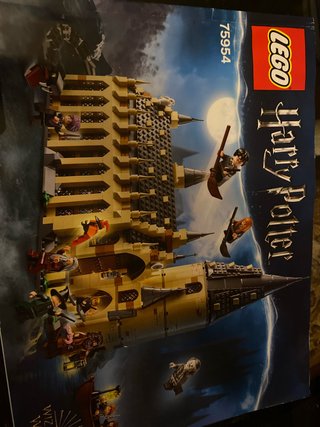 LEGO Harry Potter 75954