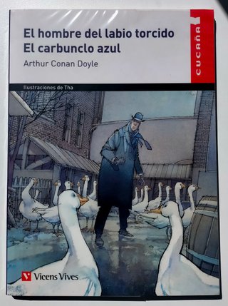 Lote de Libros de Lectura para Educación Primaria.
