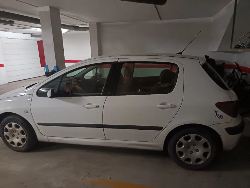 Peugeot 307 2004 - foto 1