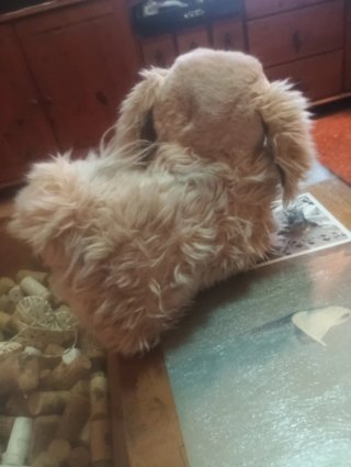 Peluche Pequinés Steiff