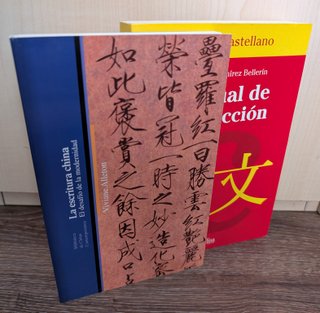 Lote de Libros de Lengua China.