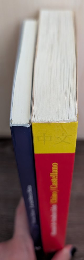 Lote de Libros de Lengua China.