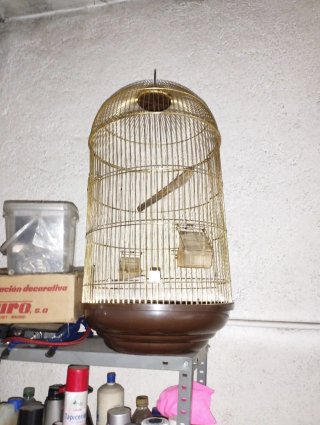 Jaula dorada para pájaros
