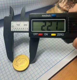 Moneda Libra Soberano Baño Oro 22kl