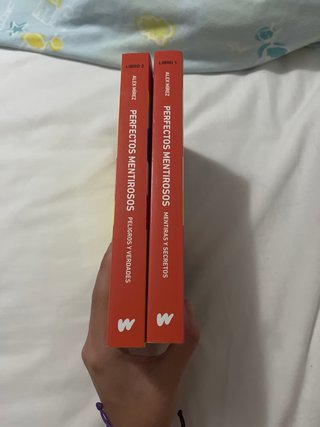 Mentiras y secretos (libro 1), Peligros y verdades