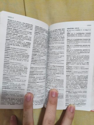 Diccionario Pocket español-francés / français-e...