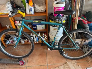 Bicicleta de Montaña LoWay Cosmic Ride