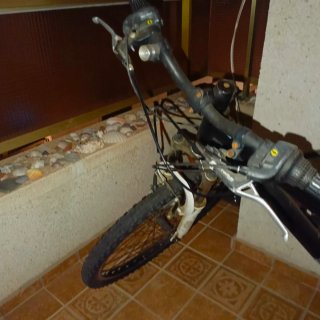 Bicicleta Coluer Lucy 240 Pintada