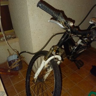 Bicicleta Coluer Lucy 240 Pintada