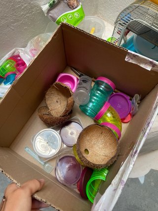 Lote jaulas y accesorios para hámster