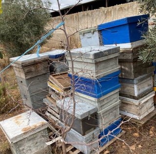 Colmenas con cuadros+alza con cuadros 40€